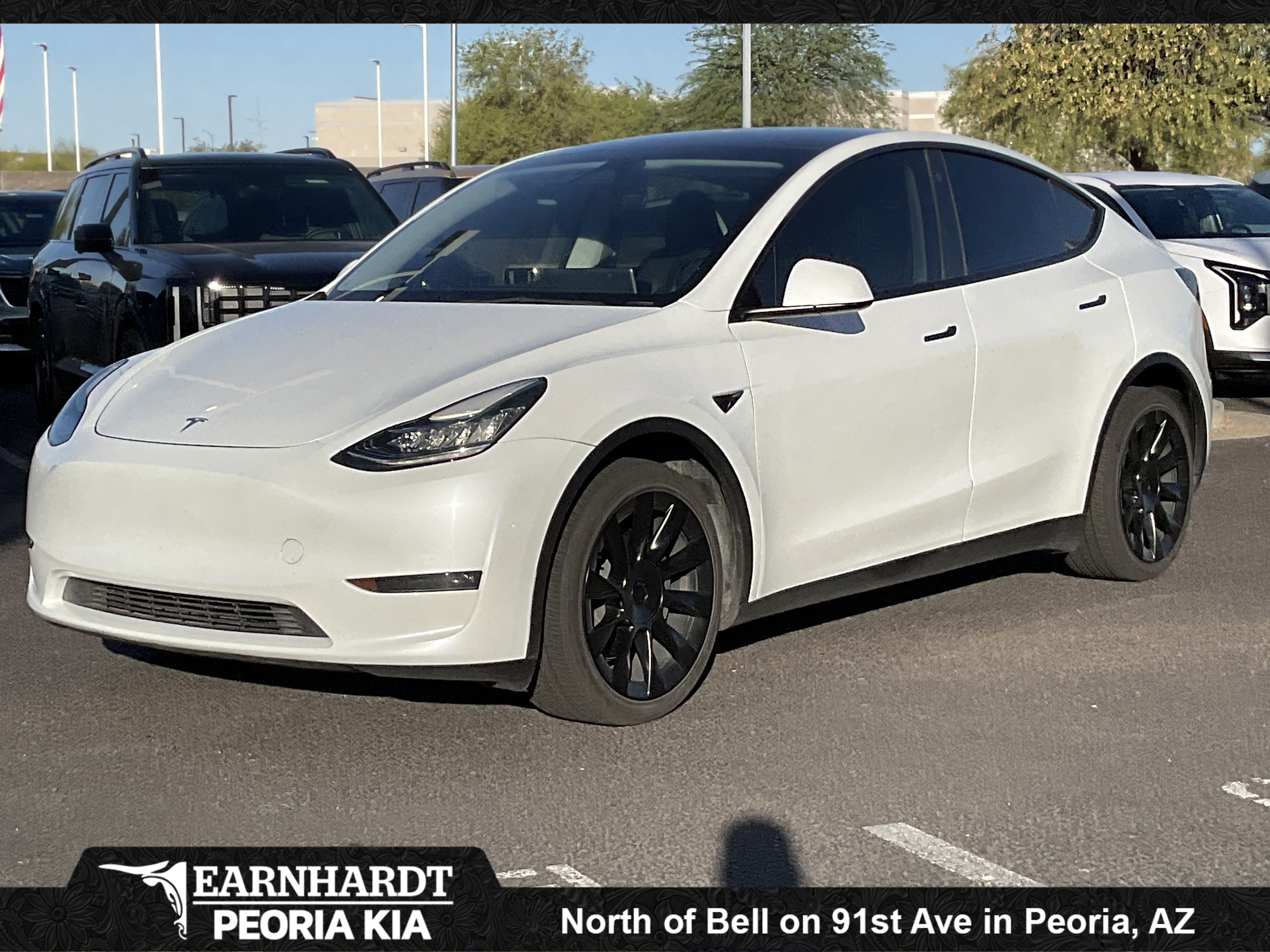 2023 Tesla Model Y Long Range Dual Motor All-Wheel Drive's photo