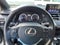 2020 Lexus NX NX 300 F SPORT