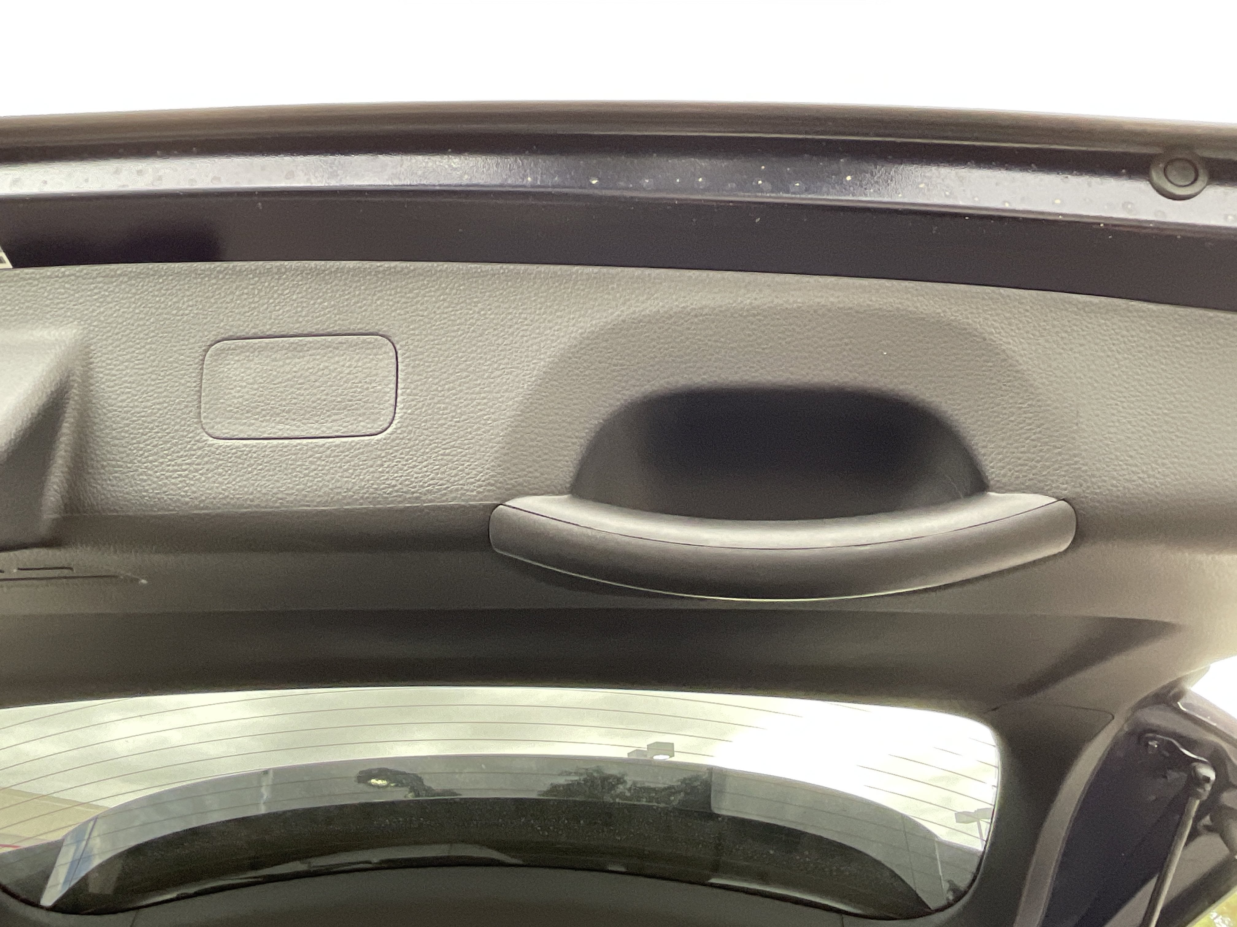 2027 Kia Carnival LX